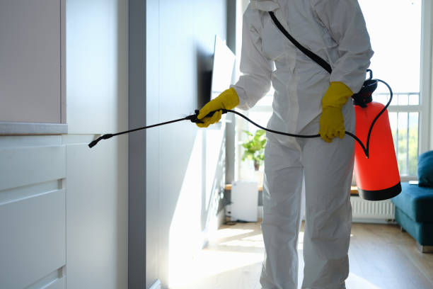 Best Commercial Mold Removal  in Lake Park, NC